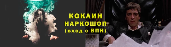 крисы Балахна