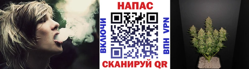 Бошки Шишки конопля Унеча